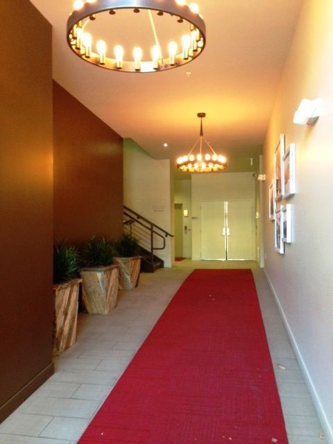 Suite 204